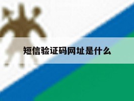 短信验证码网址是什么