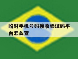 临时手机号码接收验证码平台怎么查