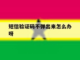 短信验证码不弹出来怎么办呀