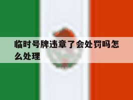 临时号牌违章了会处罚吗怎么处理