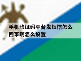 手机验证码平台发短信怎么回事啊怎么设置
