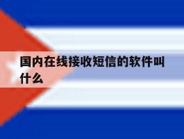 国内在线接收短信的软件叫什么