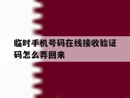 临时手机号码在线接收验证码怎么弄回来