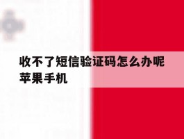 收不了短信验证码怎么办呢苹果手机