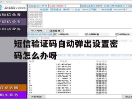 短信验证码自动弹出设置密码怎么办呀