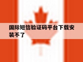 国际短信验证码平台下载安装不了
