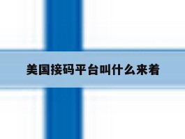 美国接码平台叫什么来着