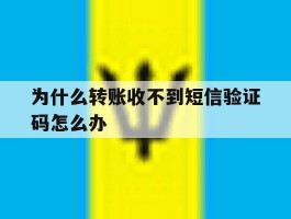 关于为什么转账收不到短信验证码怎么办的信息