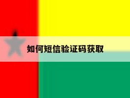 如何短信验证码获取
