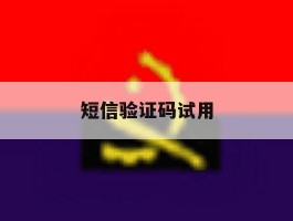 短信验证码试用