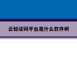 云验证码平台是什么软件啊