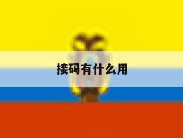 接码有什么用