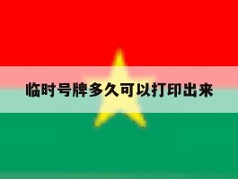 关于临时号牌多久可以打印出来的信息