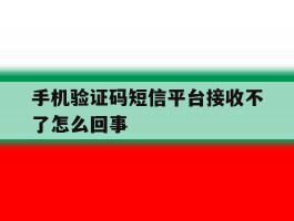 手机验证码短信平台接收不了怎么回事