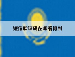 短信验证码在哪看得到