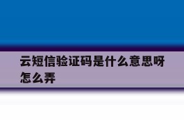 云短信验证码是什么意思呀怎么弄