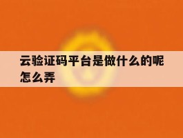 云验证码平台是做什么的呢怎么弄
