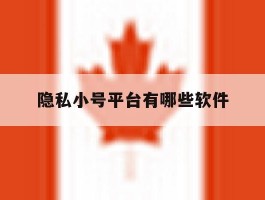 隐私小号平台有哪些软件