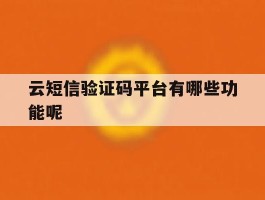 云短信验证码平台有哪些功能呢