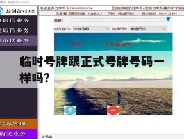 临时号牌跟正式号牌号码一样吗?
