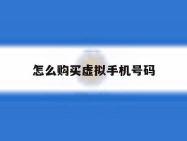 怎么购买虚拟手机号码