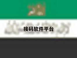 接码软件平台