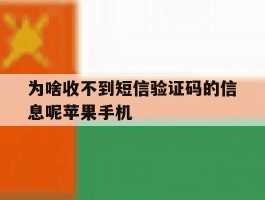 为啥收不到短信验证码的信息呢苹果手机