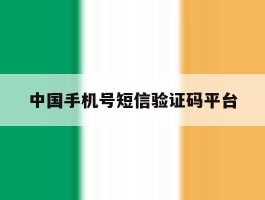 中国手机号短信验证码平台