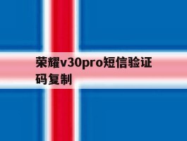 荣耀v30pro短信验证码复制