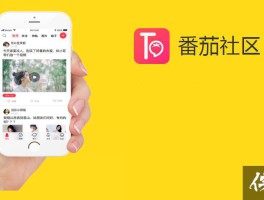 包含四方平台官网入口下载苹果版安装软件的词条