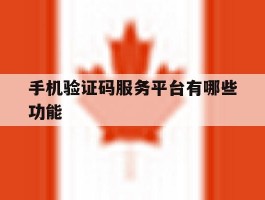 手机验证码服务平台有哪些功能的简单介绍