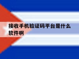 接收手机验证码平台是什么软件啊