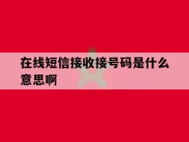 在线短信接收接号码是什么意思啊