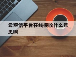 云短信平台在线接收什么意思啊