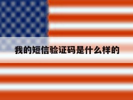 我的短信验证码是什么样的