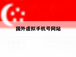 国外虚拟手机号网站