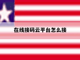 在线接码云平台怎么接