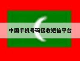 中国手机号码接收短信平台