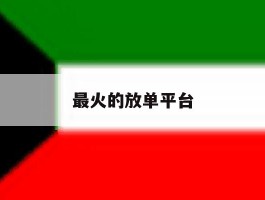 最火的放单平台