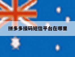 拼多多接码短信平台在哪里