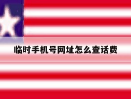 临时手机号网址怎么查话费