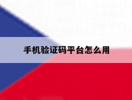 手机验证码平台怎么用