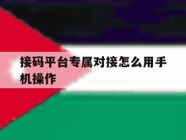 接码平台专属对接怎么用手机操作