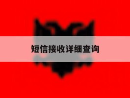 短信接收详细查询