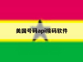美国号码api接码软件