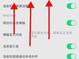 苹果手机怎么能不接收短信信息