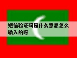 短信验证码是什么意思怎么输入的呀