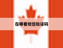 在哪看短信验证码