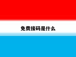 免费接码是什么