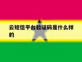云短信平台验证码是什么样的